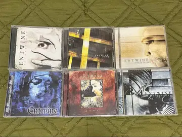 Entwine 앨범 6장 세트