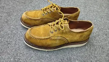 레드윙 7D 8105 25.0cm 깨끗합니다