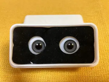 그레이 인형 눈 슈퍼돌피용