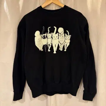 언덕 꼭대기 고양이