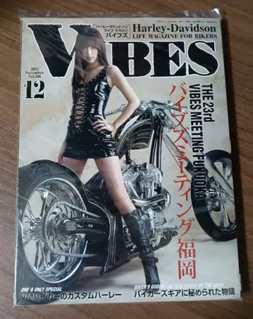 VIBES 2015년 12월호