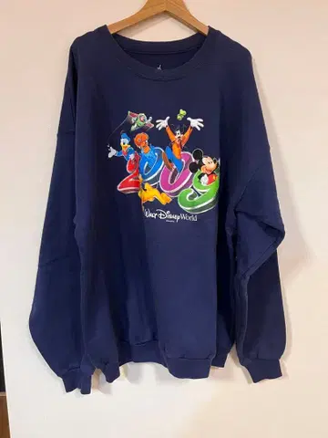 레어 Walt Disney World XL 디즈니 맨투맨 트레이닝복