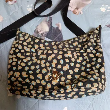 아네스베 숄더백