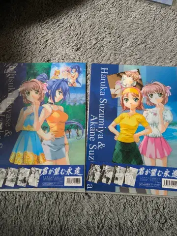 그대가 바라는 영원 클리어 파일 세트