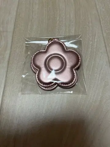 마리메종 디지 거울 백참 (펄 핑크)