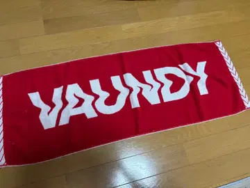 VAUNDY 로고 타월 빨흰