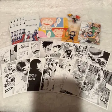 하이큐 카라스노 세트