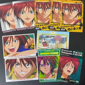 신 테니스의 왕자님 테니프리 트레이딩 카드 카드 토야마 긴타로 세트