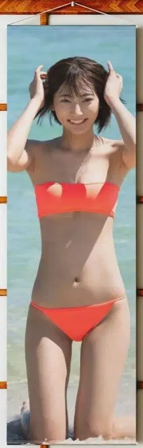 [ 새상품 미개봉 ] 타케다상 태피스트리