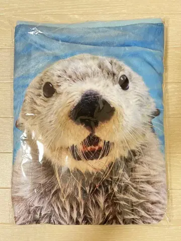 레어 토바 수족관 랏코 사육 40주년 기념 담요 메이짱 키라짱