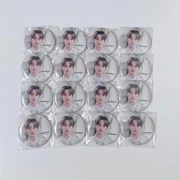 Straykids 리노 캔뱃지 maniac encore 굿즈 세트