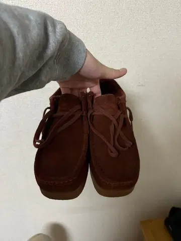 clarks 왈라비
