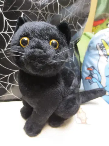THE 리얼 캣 봉제 인형 검은 고양이 크로네코 23cm