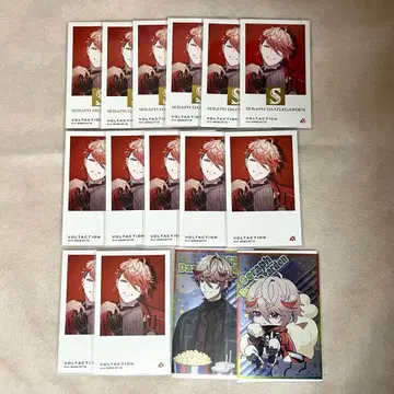 니지산지 세라프 대즐 가든 하프 애니버서리 폴라로이드