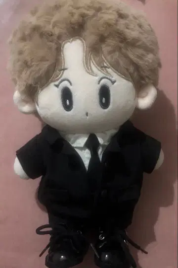 BTS 진 JIN 마스터님 봉제 인형 23cm