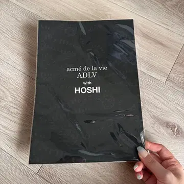 SEVENTEEN 호시 아크메드라비 ADLV 엽서 포스터