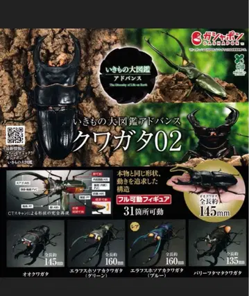 생물대도감 어드밴스 사슴벌레 02 오오쿠와가타 가챠 가샤폰