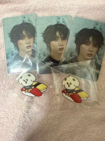 TXT 뿔바투 아크릴 배지 도쿄 아리아케 밤굿 덤 포함