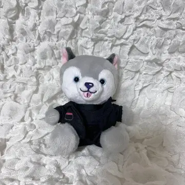 마츠무라 호쿠토 고텐바 토리 봉제 인형 노키도아