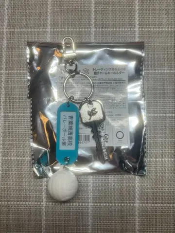 하이큐 열쇠고리 참 아오바죠사이