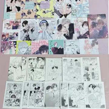 BL 소책자 리플렛 혜택 묶음 판매