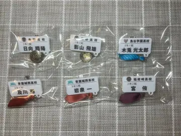 하이큐 참 포함 네임 배지 컬렉션