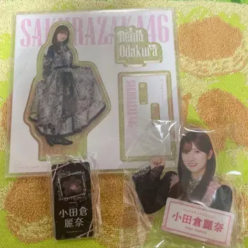 오다쿠라 레이나 묶음 판매