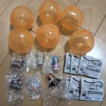 원피스 열매 제22해전 전 6체 세트