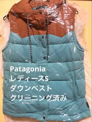 파타고니아 Patagonia 여성용 다운 베스트 버섯 패턴