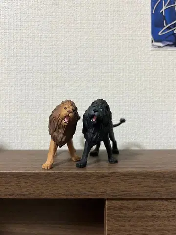 [아니아] 라이온 세트