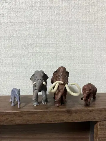 [ 아니아 ] 코끼리와 매머드