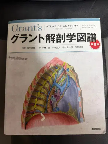 그랑 해부학 도보