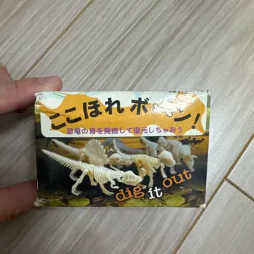 코코호레 본 공룡 발굴 화석