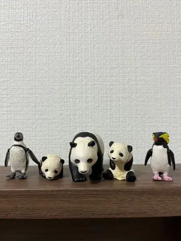[아니아] 팬더 펭귄 5체