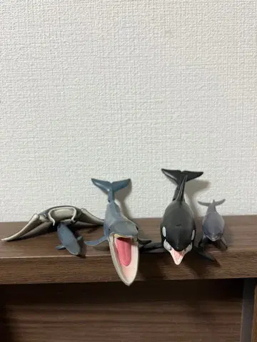 [아니아] 진베이 상어 범고래 가오리