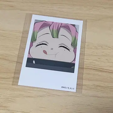 귀멸의 칼날 칸로지 미츠리 폴라로이드풍 브로마이드 유년기