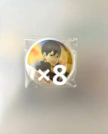 하이큐 카게야마 토비오 캔뱃지