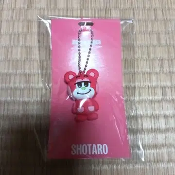 RIIZE 쇼타로 리즈코 러버 키링