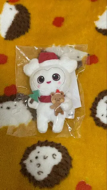 twice 더블리 백참