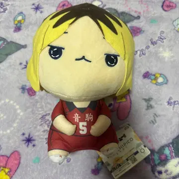 코즈메 켄마 하이큐 모찌피코 BIG 봉제 인형