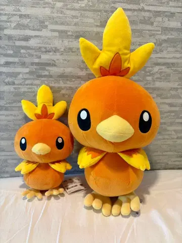 아차모 봉제 인형 대 소 세트 포켓몬