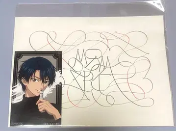 신 테니스의 왕자님 에치젠 료마