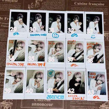 Rides In ReVellion TaJI 폴라로이드