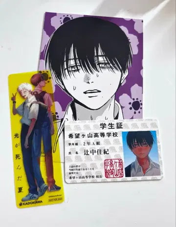 빛이 죽은 여름 굿즈 세트