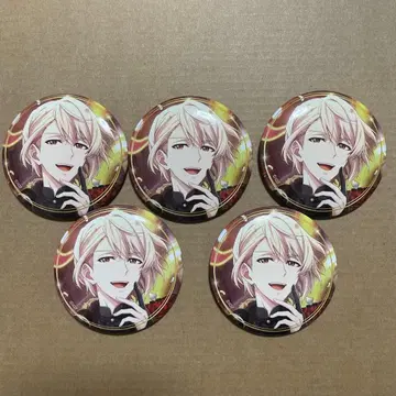 아이나나 미나미 아이스 캔뱃지 5개 세트