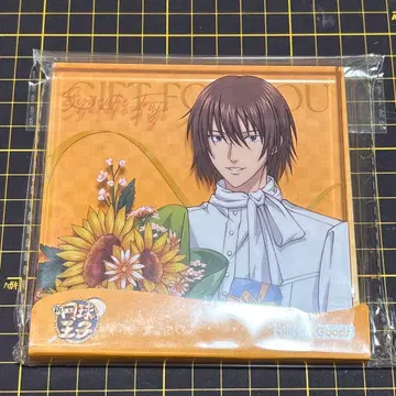 신 테니스의 왕자님 중국 한정판 서머 발레 후지 슈스케 아크릴 블록