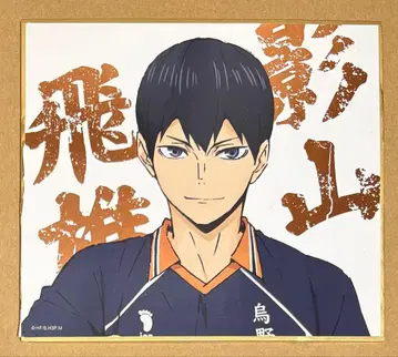 하이큐 합동 연습회 2019 카게야마 토비오 미니 색지