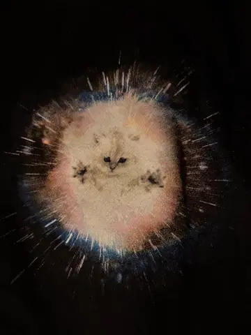 graniph 고양이 우주 패턴 맨투맨 L 사이즈 블랙 그라니프