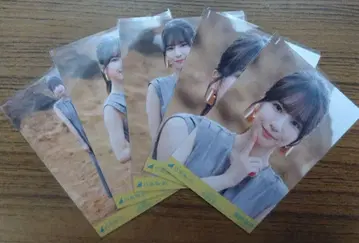 노기자카46 스가와라 사츠키 브로마이드 SAME NUMBERS 5종 컴프