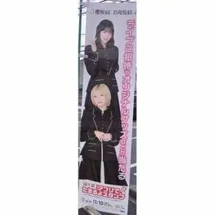 사쿠라자카 노보리